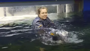 Sphengic Swimming