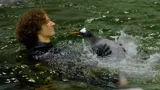 Sealifesydneyaquariumpenguinchickswimminglessons CHARLIE 200122 3