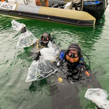 Dive Team Prepare To Release Endangered White's Seahorses At New Seahorse Hotel