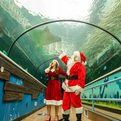 Christmas Experience Gift Ideas in Sydney